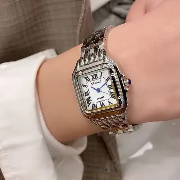 Anthropologie Accessories - Panthere Classic Rectangle Stainless Steel Watch NEW 
Waterproof
